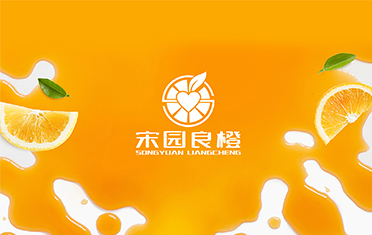 某良橙——东莞LOGO设计